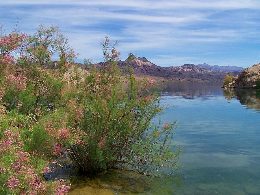 Lake Mohave Photograph by Douglas Miller