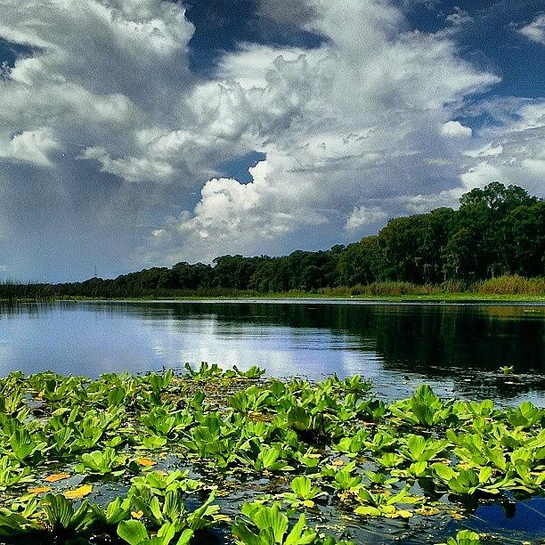 Istabilizer Photograph - Lake Monroe, Flordas North Shore by Dan Piraino
