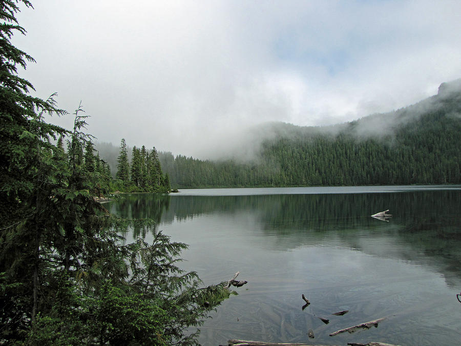 Lake Mowich Photograph by Tikvahs Hope