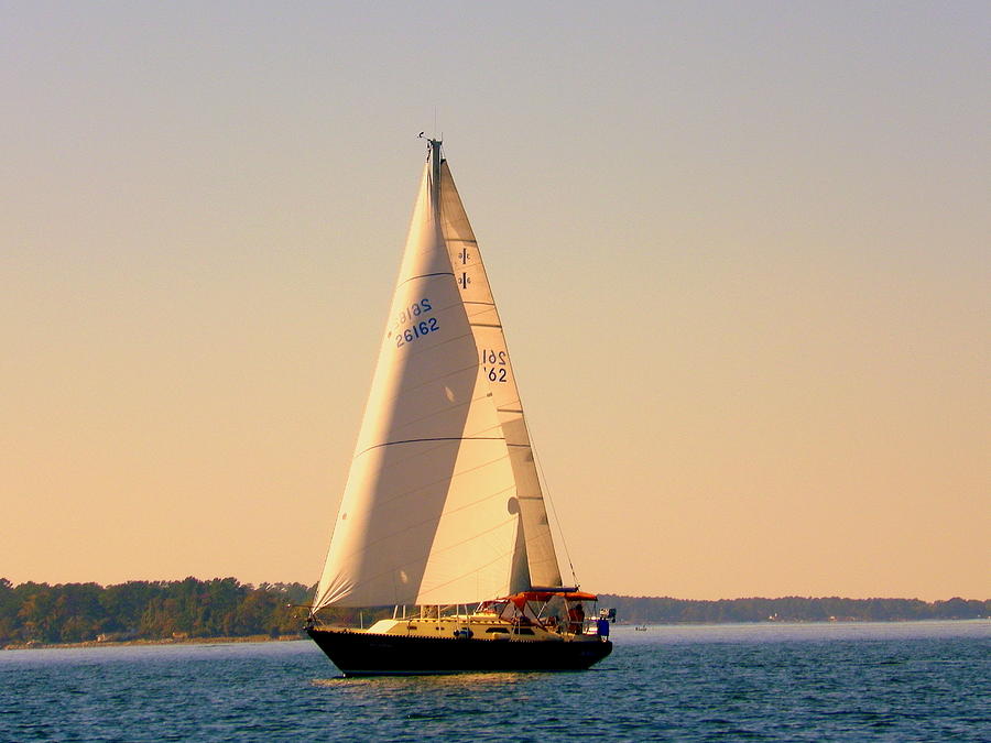 Sail Photograph - Lake Murray SC Sailing by Lisa Wooten