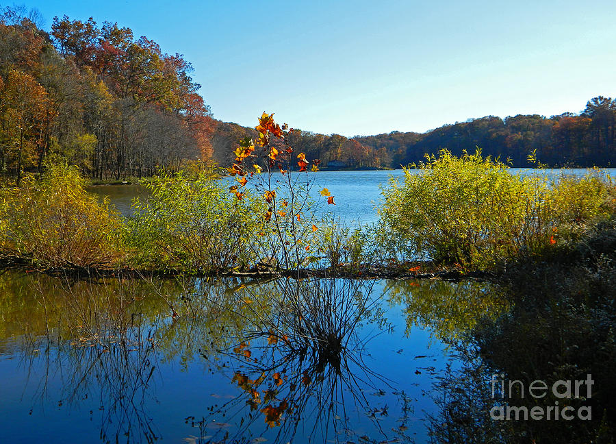 Fall Photograph - Lake Needwood Reflections by Emmy Vickers