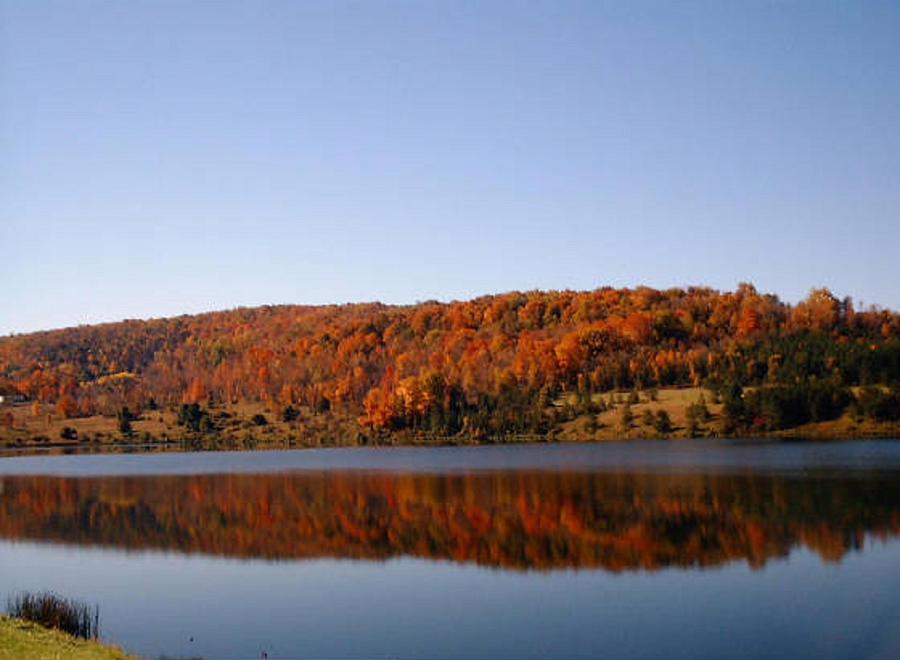 Fall Photograph - Lake Nessmuk Autumn Reflections by Liz Lare