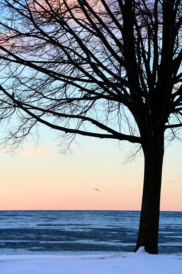 Winter Photograph - Lake Ontario Shore by Heather Allen