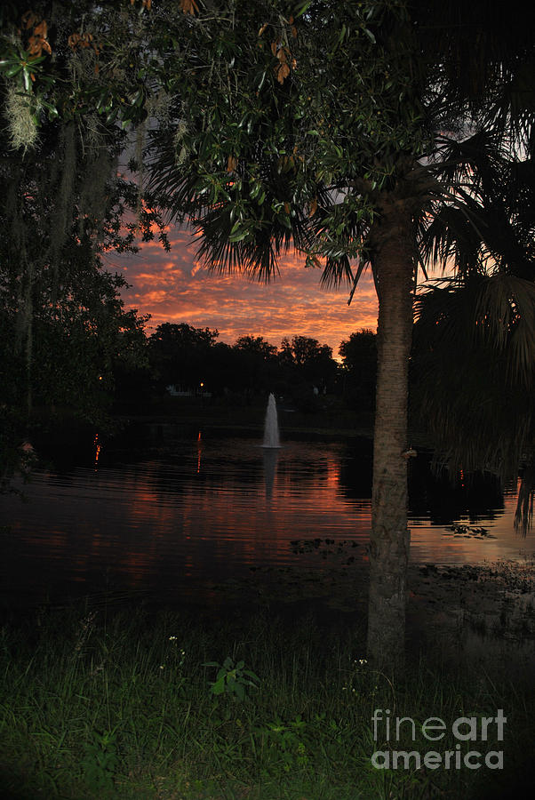Lake Play Florida Photograph by George D Gordon III