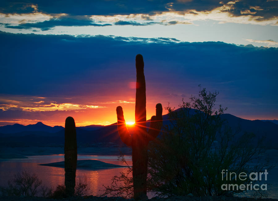 Lake Pleasant Arizona Photograph by Richard Mason