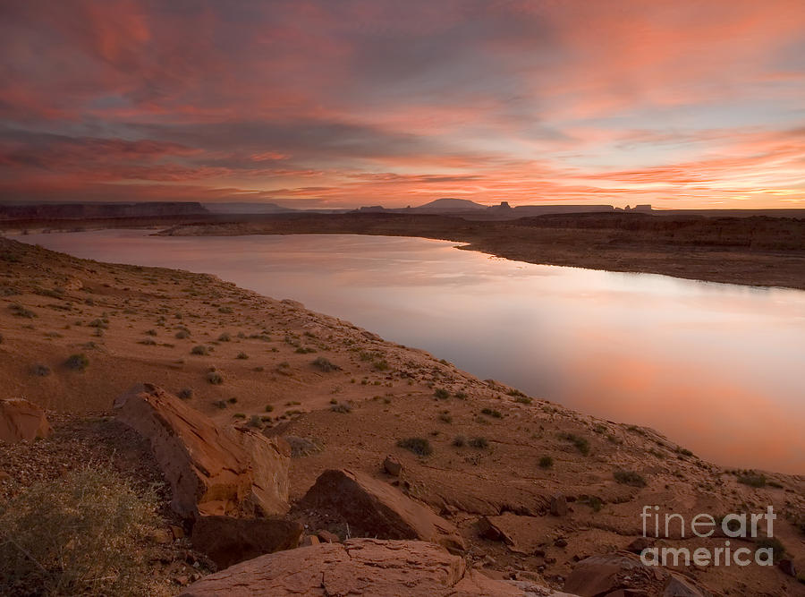 Desert Photograph - Lake Powell Dawning by Michael Dawson