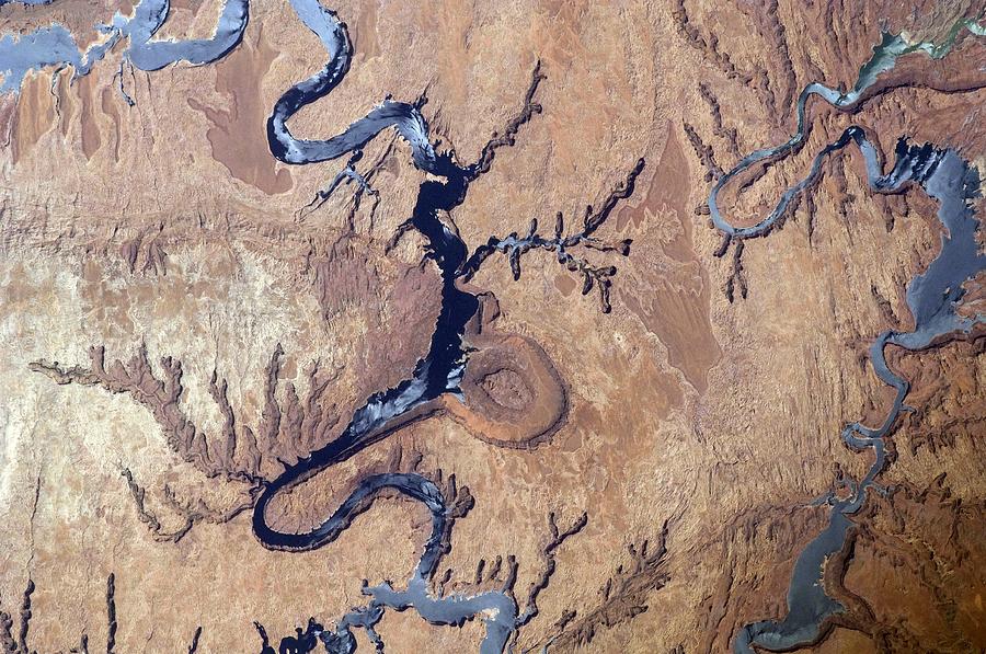 Desert Photograph - Lake Powell, Utah, ISS image. by Science Photo Library