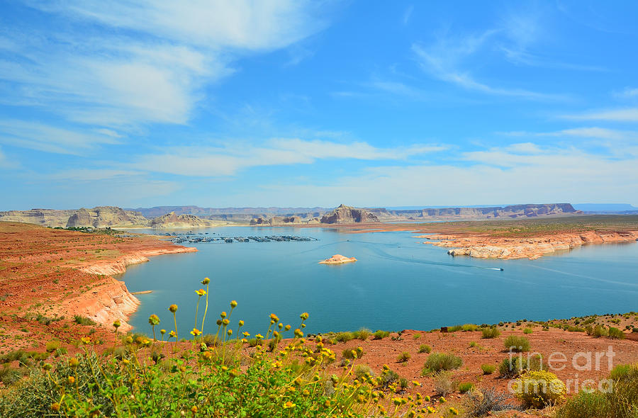 Boat Photograph - Lake Powell Vista with Flowers by Debra Thompson