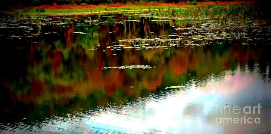 Lake Reflection Photograph by Marcia Lee Jones