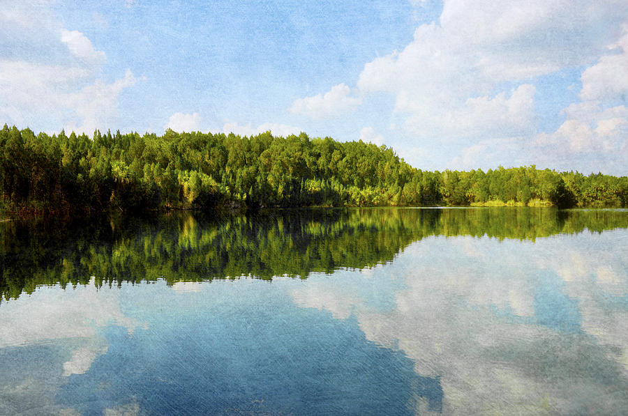 Lake Reflection in Citrus County, Florida Photograph by Randi Kuhne