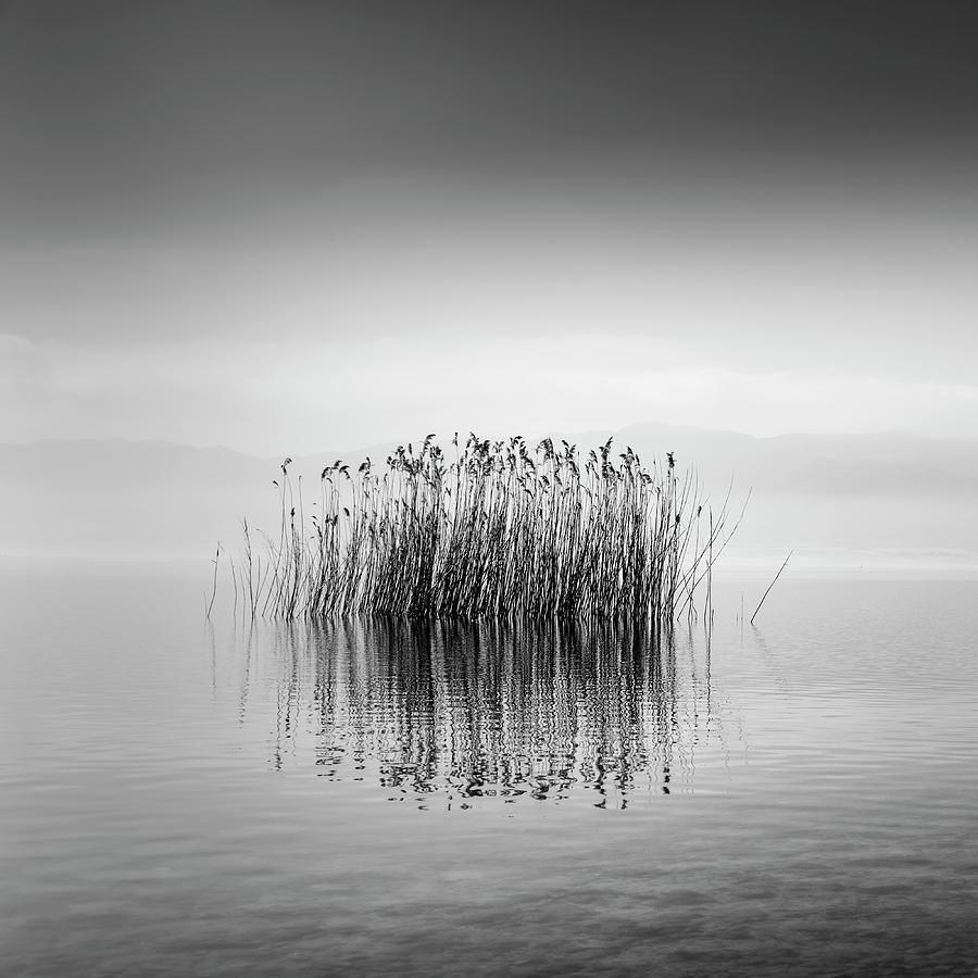 Lake Reflections Photograph by George Digalakis