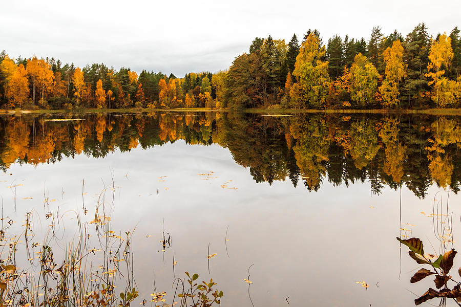 Fall Photograph - Lake reflections of fall foliage II by Aldona Pivoriene