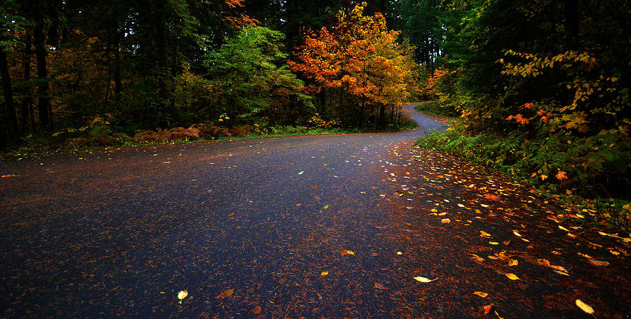 Fall Photograph - Lake Road by Matt Hanson