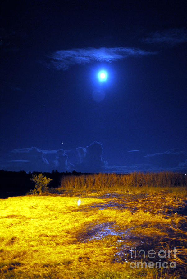 Moonrise Over Rochelle - Portrait Photograph by George D Gordon III