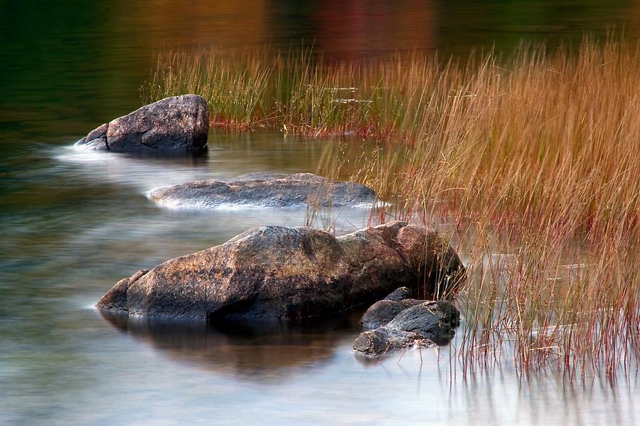 Lake Rocks and Grass Photograph by Stuart Litoff