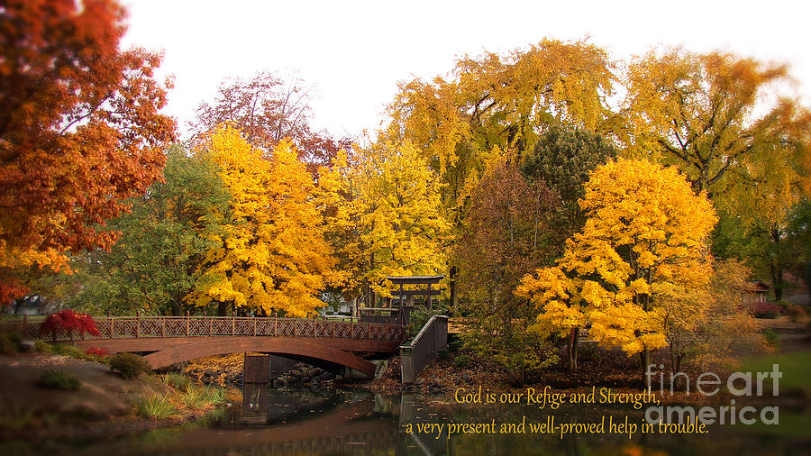 Tree Photograph - Lake Sacajawea  Japanese Garden  by Beverly Guilliams