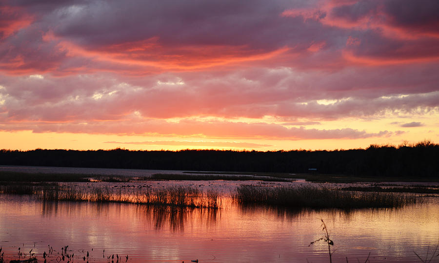 Lake Sampson Sunset 31 Photograph by RD Erickson | Fine Art America