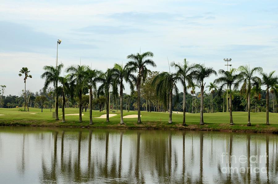 Lake sand traps palm trees and golf course Singapore Photograph by Imran Ahmed