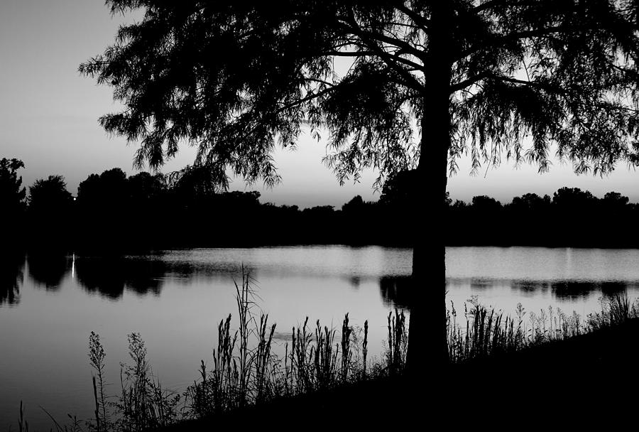 Black And White Photograph - Lake Shadows by Tony Grider