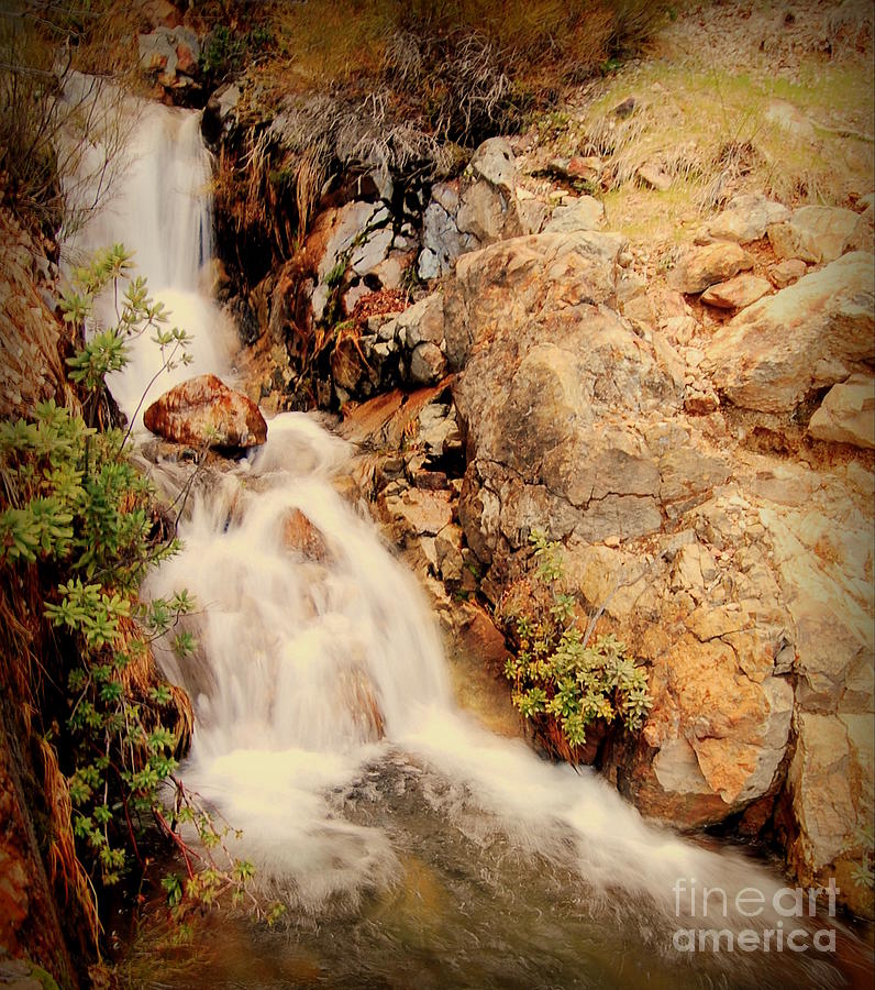 Lake Shasta waterfall 2 Photograph by Garnett  Jaeger