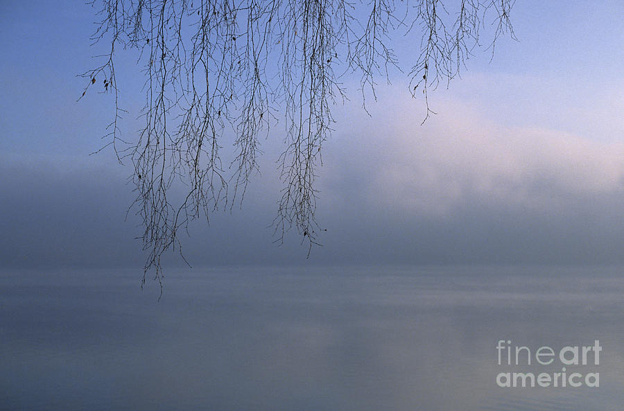 Tree Photograph - Lake Stillness by Jim Corwin
