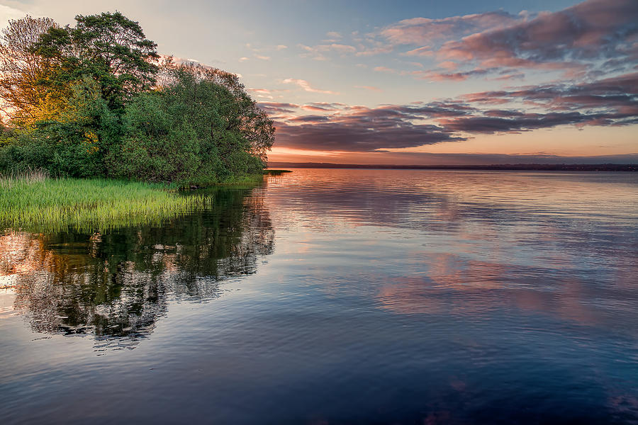Tree Photograph - Lake Sunrise #1 by EXparte SE