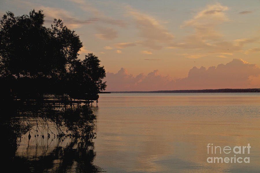 Lake Sunrise Photograph by William Norton