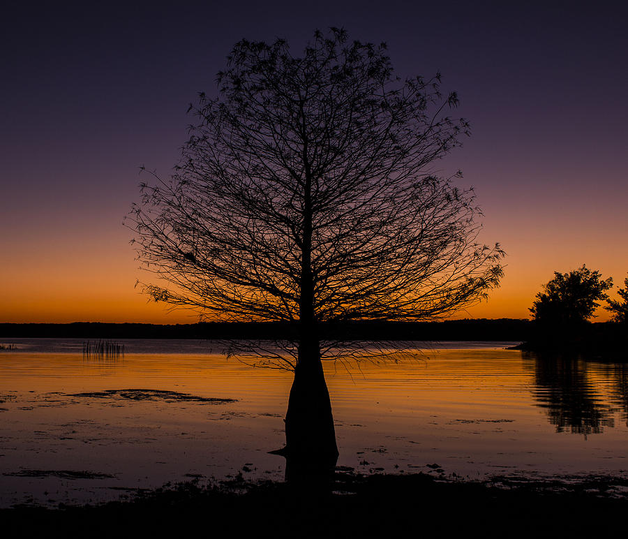 Lake Sunset Photograph by Amber Kresge