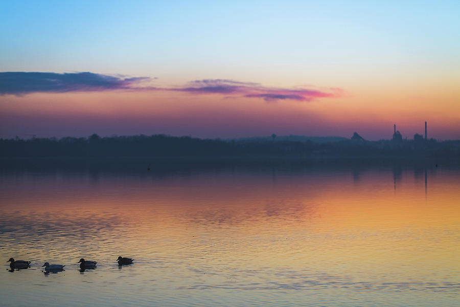 Lake Sunset Photograph by Deimagine