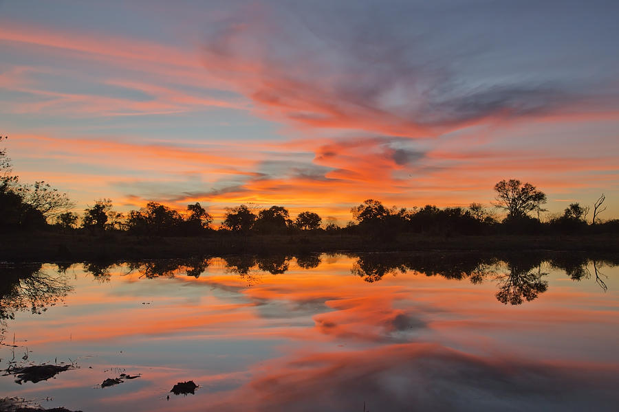 Lake Sunset Photograph by Gigi Ebert