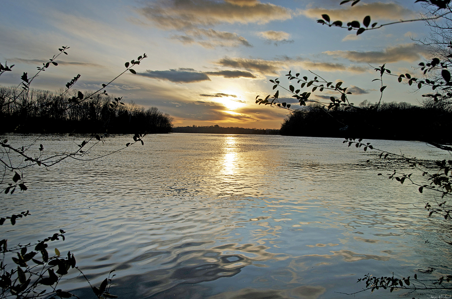Lake Sunset Photograph by Steven Michael