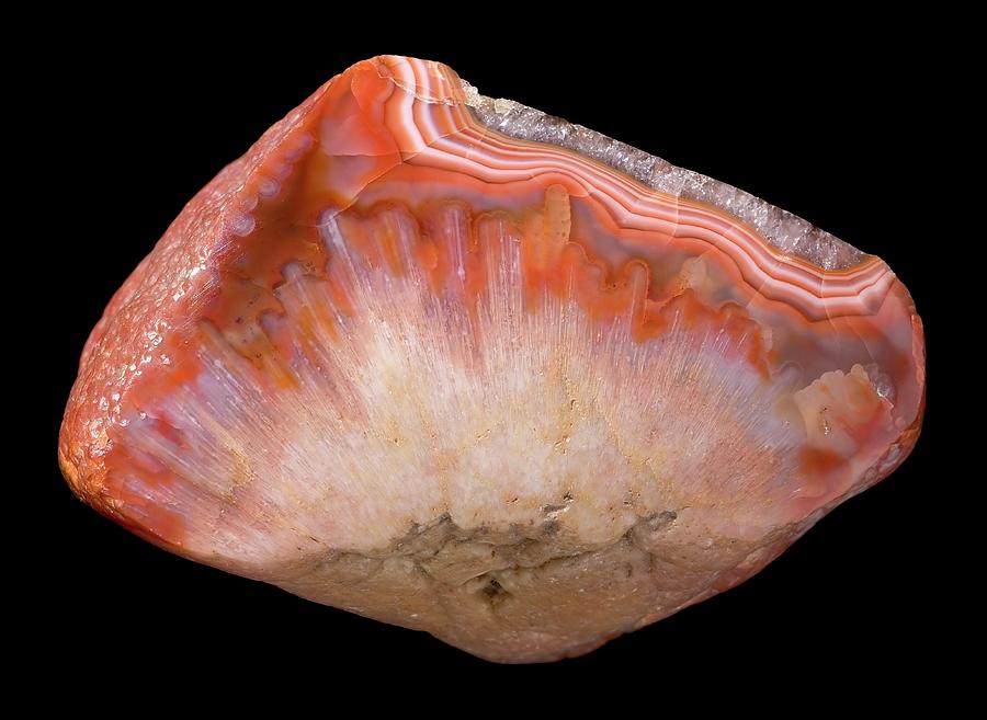 Lake Superior Agate Photograph by Natural History Museum, London/science Photo Library