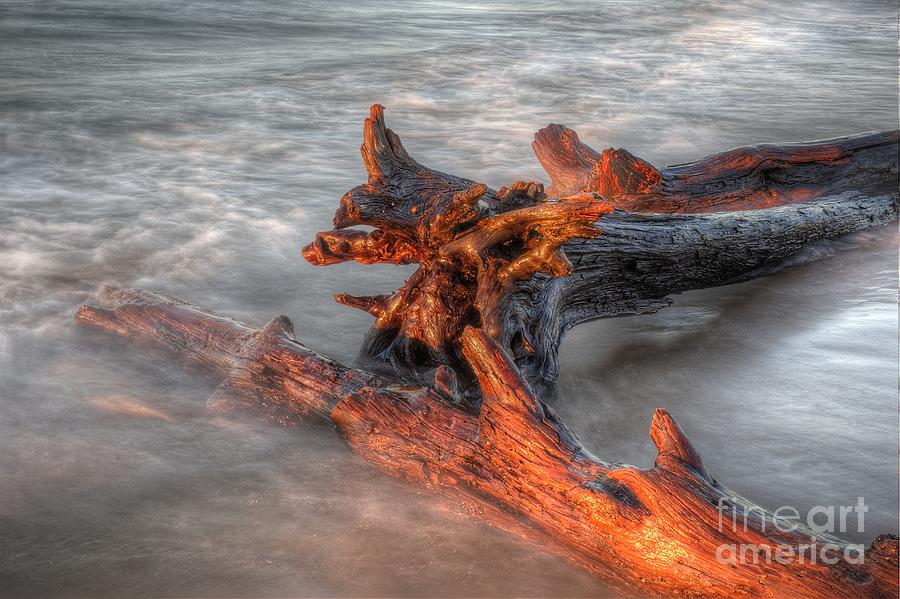 Lake Superior Driftwood Photograph by Twenty Two North Photography - Pixels