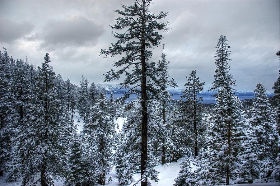 Lake Tahoe Cold Winter Day Photograph by Bruce Friedman