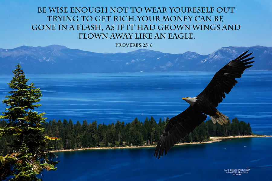 LAKE TAHOE EAGLE Proverbs Photograph by Randall Branham