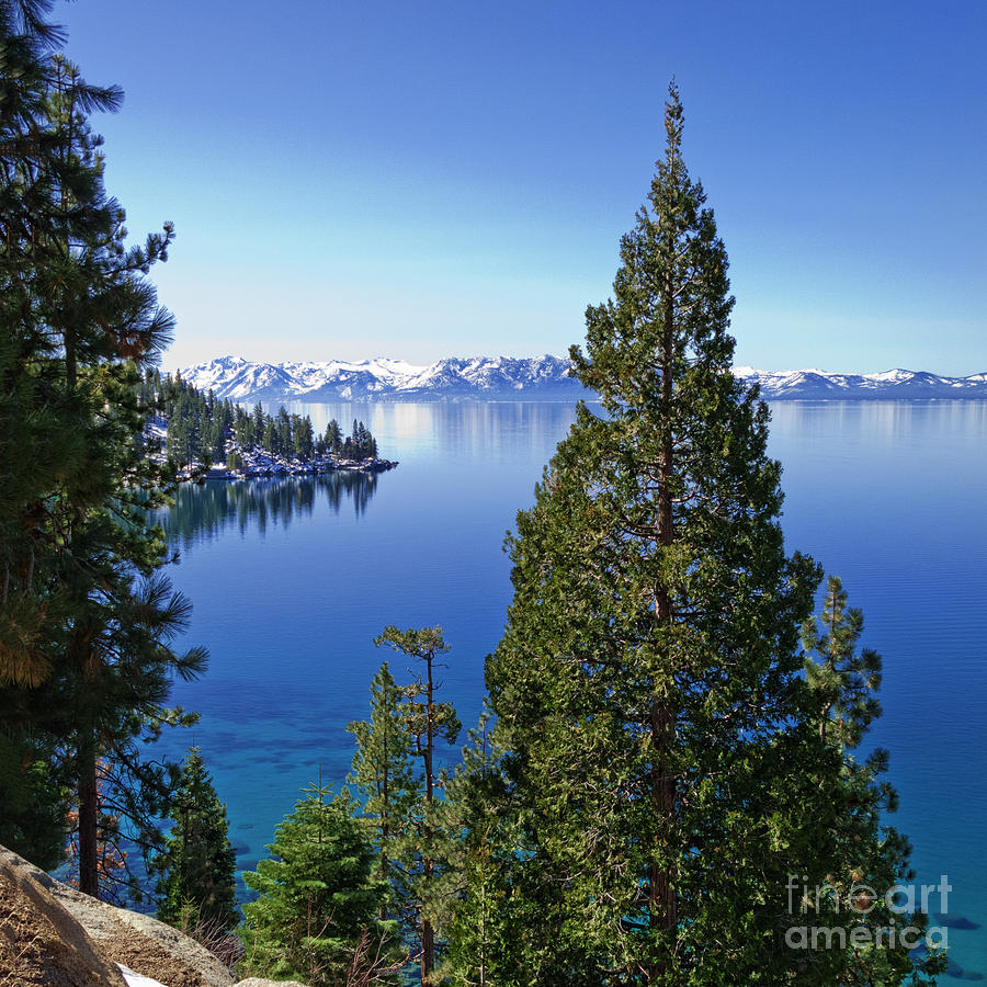 Lake Tahoe Natural Beauty Photograph by L J Oakes
