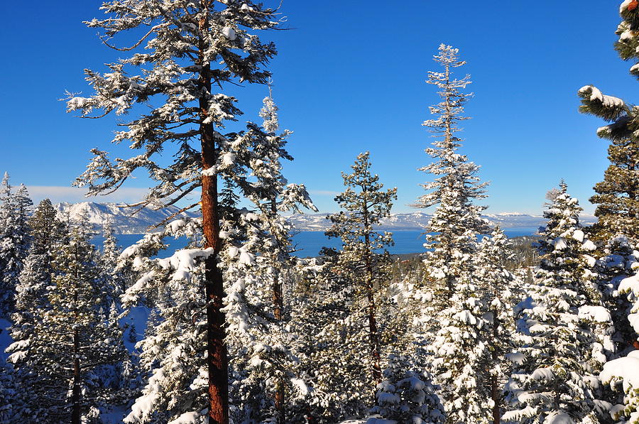 Lake Tahoe New Years Day 2013 Photograph by Bruce Friedman
