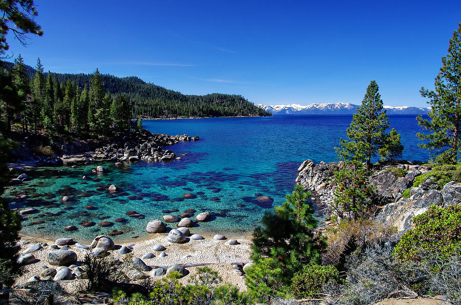 Lake Tahoe Springscape Photograph by Scott McGuire