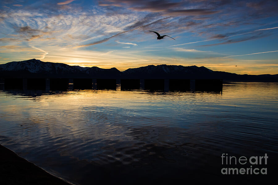 Sunset Photograph - Lake Tahoe Sunset by Suzanne Luft