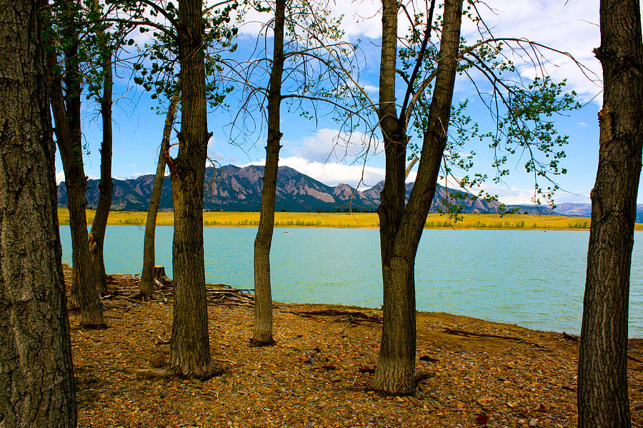 Lake Through The Trees Photograph by Juli Ellen