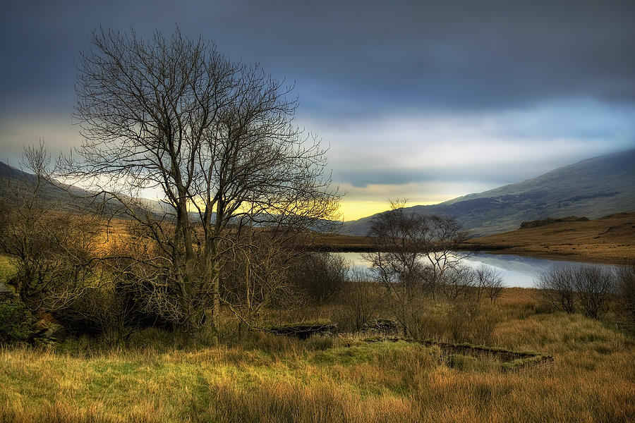 Lake View Photograph by Ian Mitchell