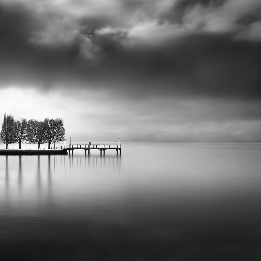 Tree Photograph - Lake View With Trees by George Digalakis