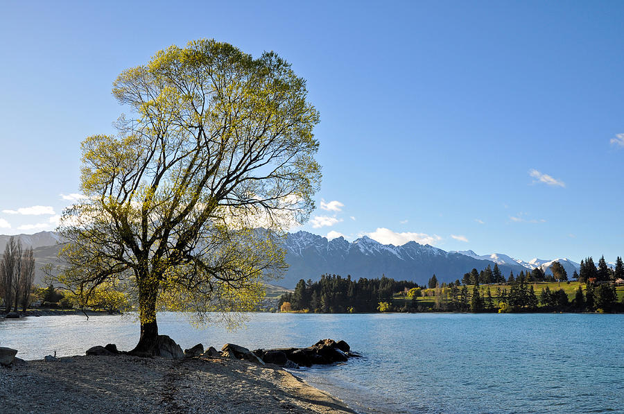 Lake Wakatipu And The Remarkables Photograph by Steve Clancy Photography