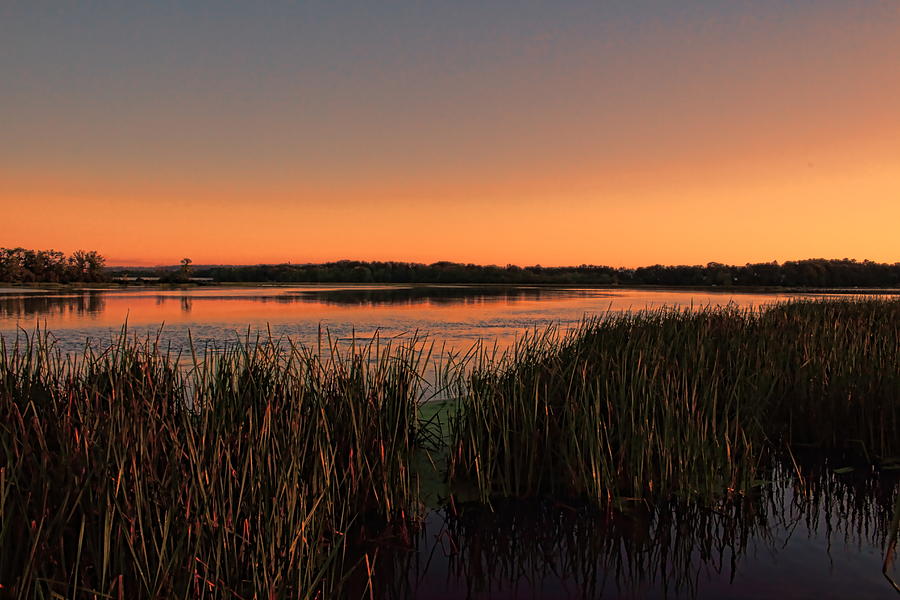 Lake Wausau Marshgrass Photograph by Dale Kauzlaric
