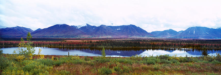 Denali National Park Photograph - Lake With A Mountain Range by Panoramic Images