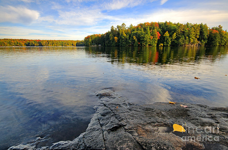 Lake with Fall Color Photograph by Charline Xia
