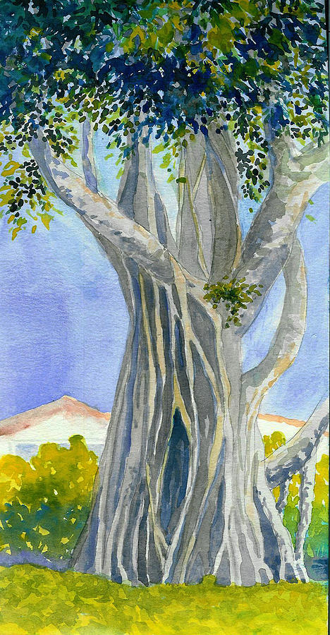 Lake Worth Ficus Painting by Anne Marie Brown