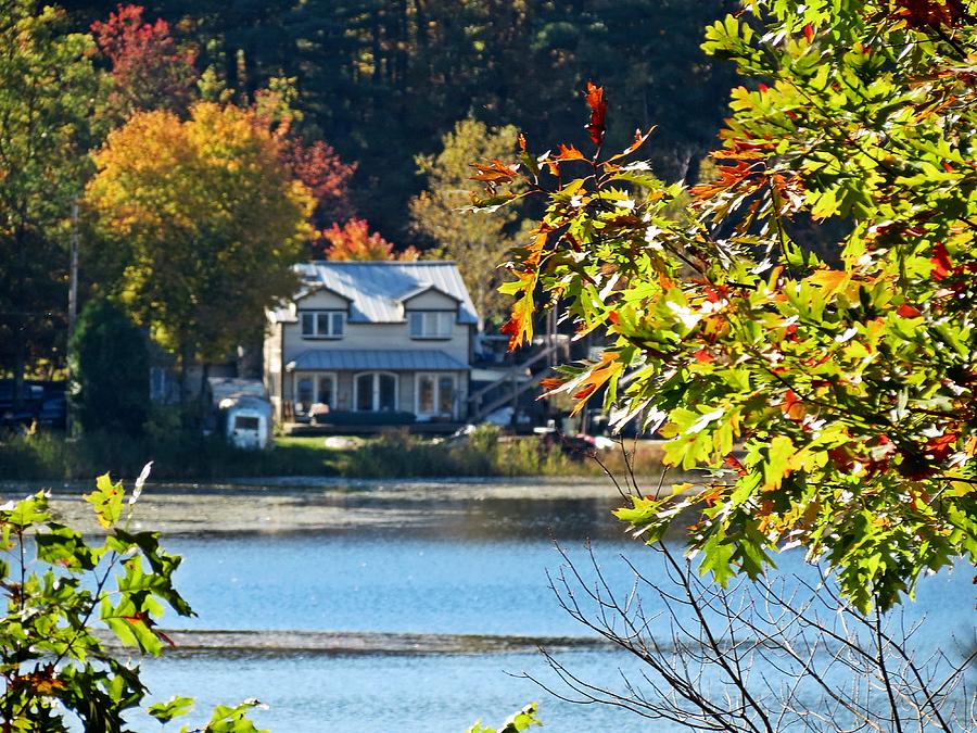 Lakehouse Foliage Photograph by MTBobbins Photography