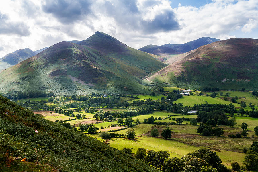 Lakeland Scene Photograph by Stuart Gennery - Fine Art America