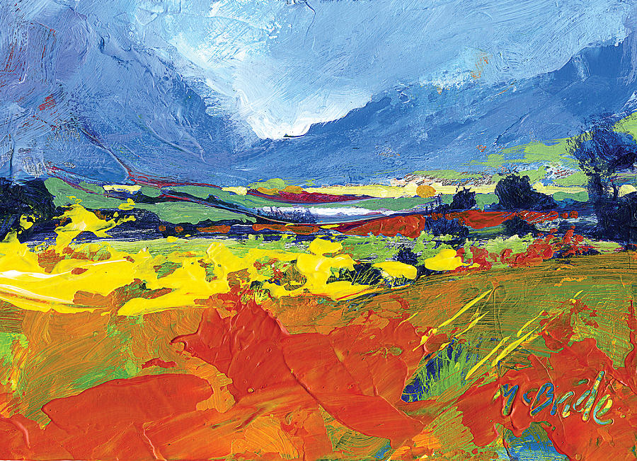 Mountain Painting - Lakeland Splash by Neil McBride